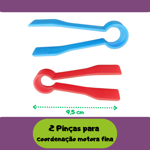 Kit Montessori Classificação de Cores -Família - Imagem 3