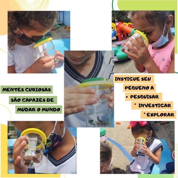 Kit Pequeno Explorador: Pote Observação + Tesoura Bola + Pinça - Imagem 6